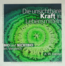 Die unsichtbare Kraft in Lebensmitteln - von A. Walter Dänzer