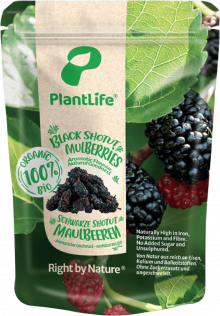 Schwarze Maulbeeren "Shotut" - von PlantLife Right by Nature®