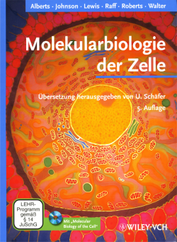 Natursalz aus Österreich - grobkörnig - von Bioenergie