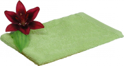 Wasch-Handschuh avocado - von Living Crafts