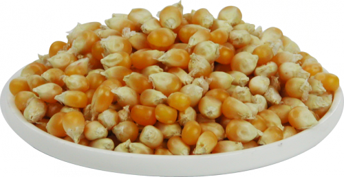 Popcorn-Mais - 6-Pack - von Rapunzel
