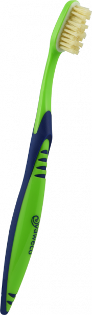 Wechselkopf-Zahnbürste I - grün/blau - von yaweco